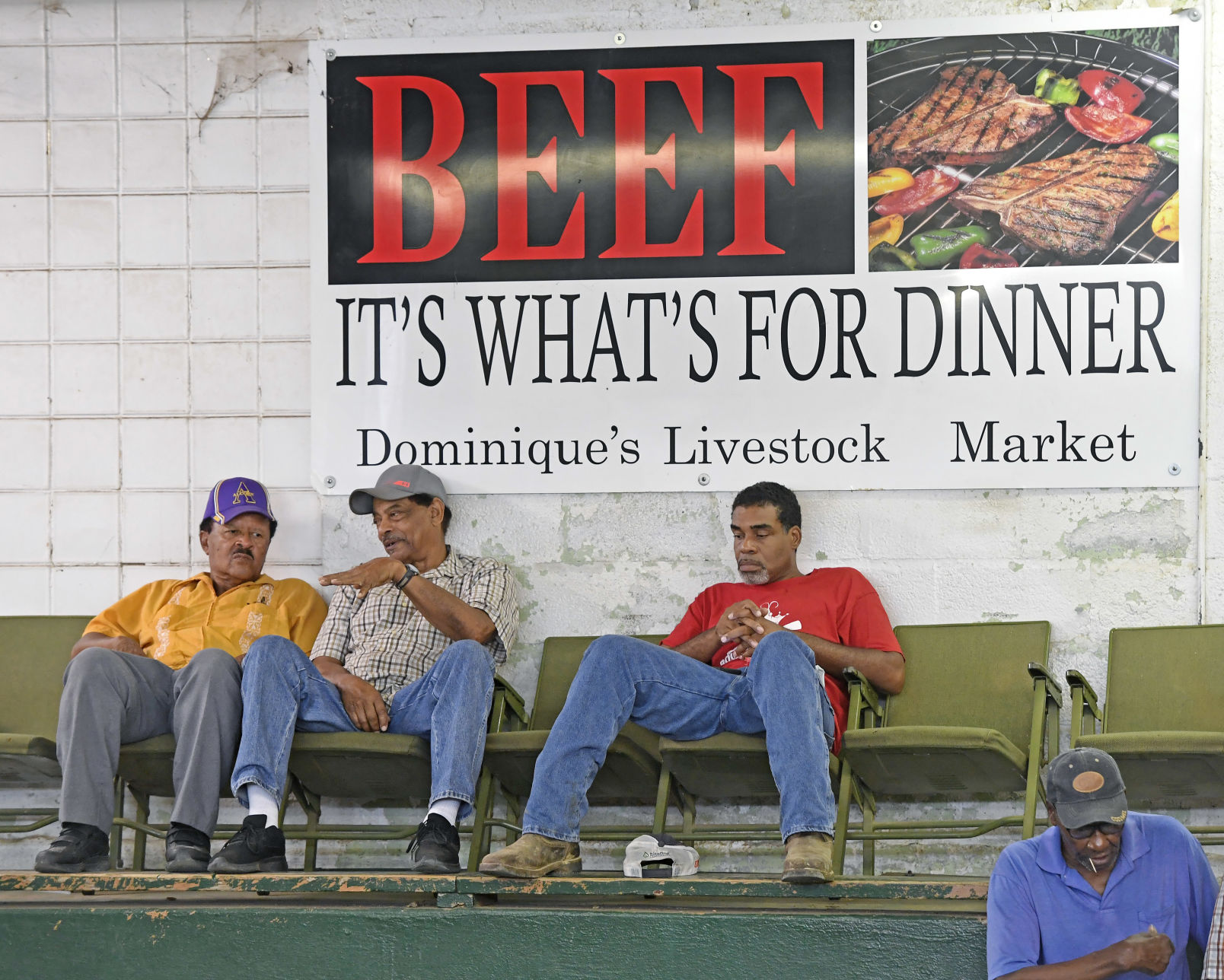 BR.wildstockyard0018.adv bf.jpg